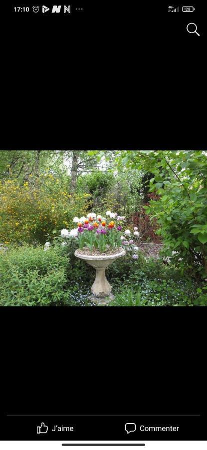 Petit Coin De Paradis Fontaine-les-Luxeuil Экстерьер фото